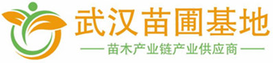 湖北武汉苗木苗圃基地